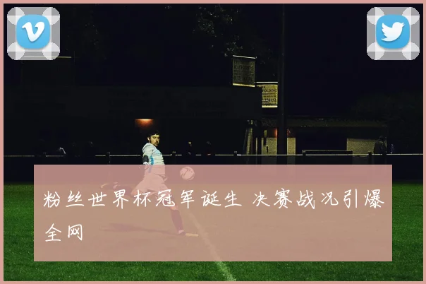 粉丝世界杯冠军诞生 决赛战况引爆全网
