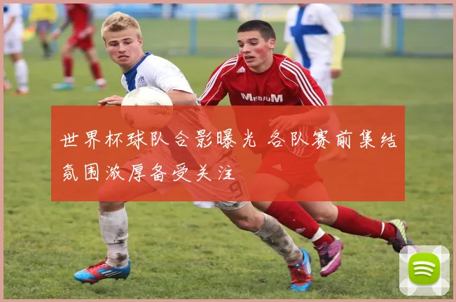 世界杯球队合影曝光 各队赛前集结氛围浓厚备受关注