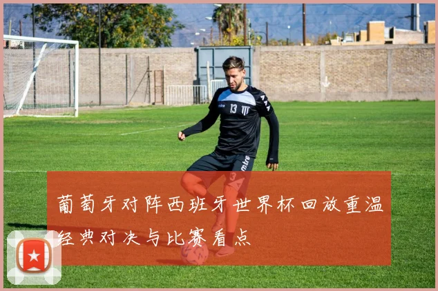 葡萄牙对阵西班牙世界杯回放重温经典对决与比赛看点